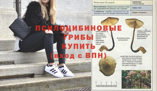 стафф Костерёво
