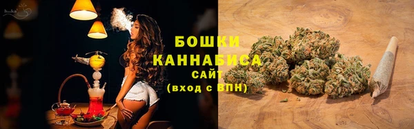 крисы Кодинск