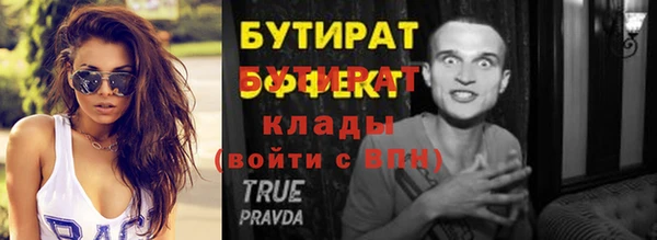 индика Козельск