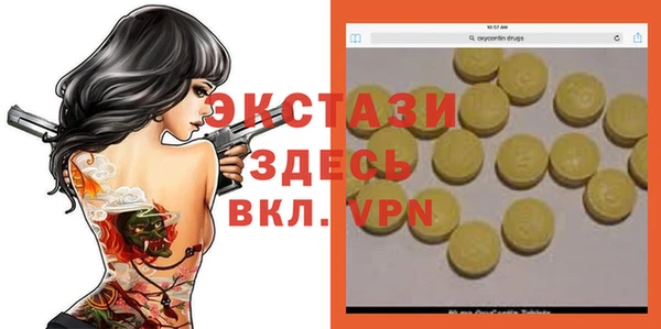 индика Козельск