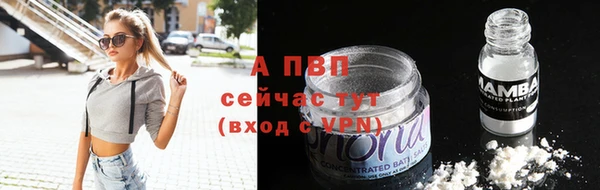 индика Козельск