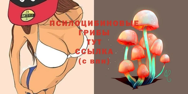 крисы Кодинск
