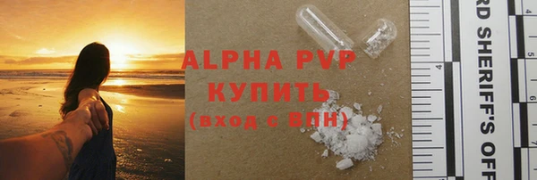 сатива Козловка