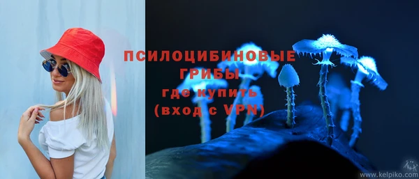 индика Козельск