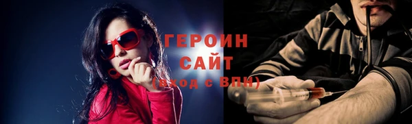 индика Козельск