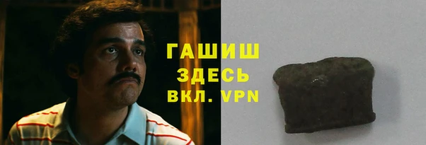 индика Козельск