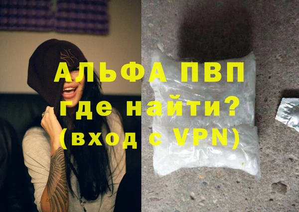 сатива Козловка