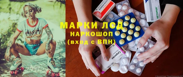 индика Козельск