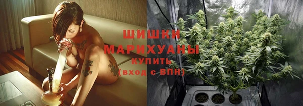 сатива Козловка