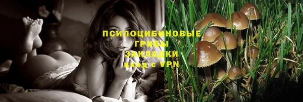 крисы Кодинск