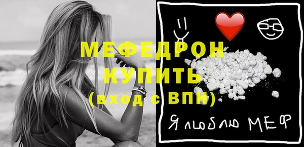 индика Козельск