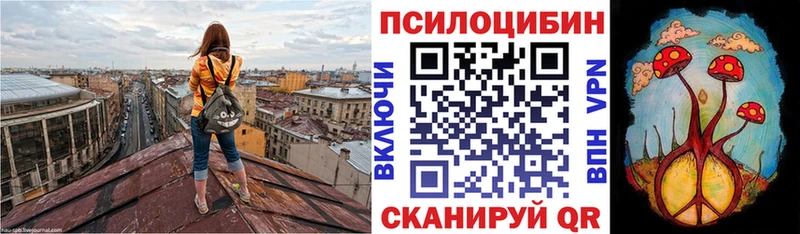 где купить наркоту  Енисейск  Псилоцибиновые грибы Psilocybine cubensis 